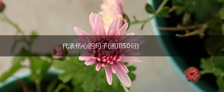 代表伤心的句子(通用50句),第1张