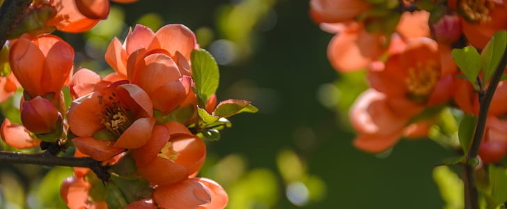 烟花的句子(合集180句),第2张
