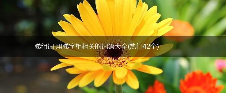 睇组词 用睇字组相关的词语大全(热门42个),第1张