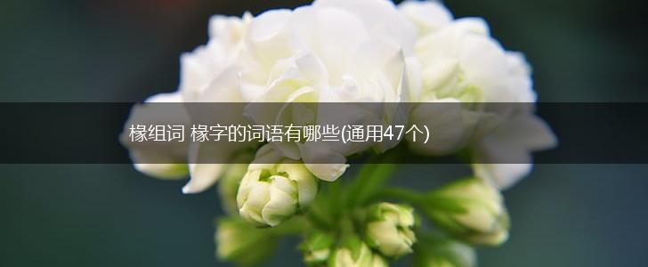 椽组词 椽字的词语有哪些(通用47个),第1张