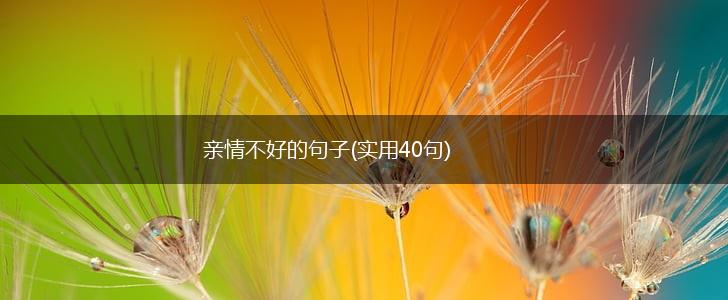 亲情不好的句子(实用40句),第1张