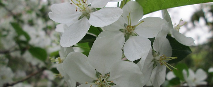 期待未来的唯美句子(精选150句),第3张