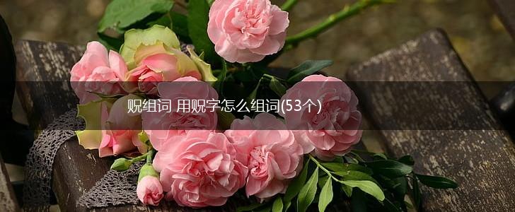 贶组词 用贶字怎么组词(53个),第1张