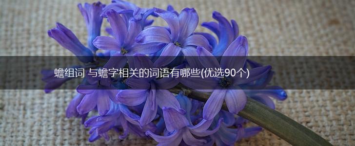 蟾组词 与蟾字相关的词语有哪些(优选90个),第1张