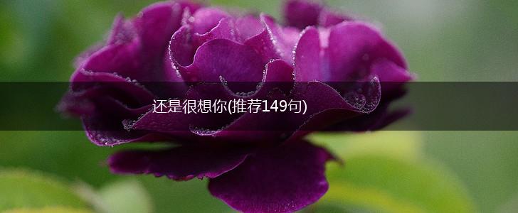 还是很想你(推荐149句),第1张