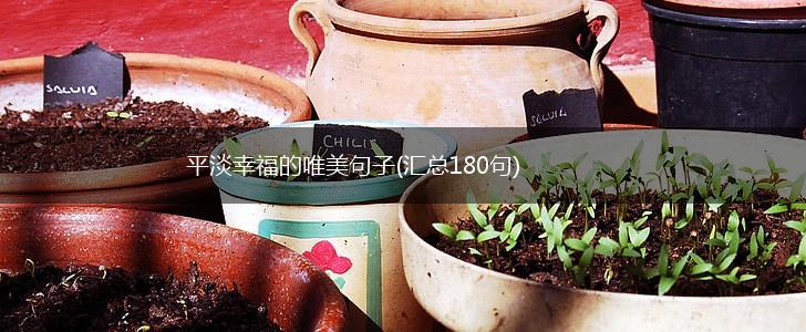 平淡幸福的唯美句子(汇总180句),第1张