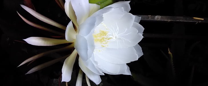 给妈妈的祝福语(精选190句),第3张