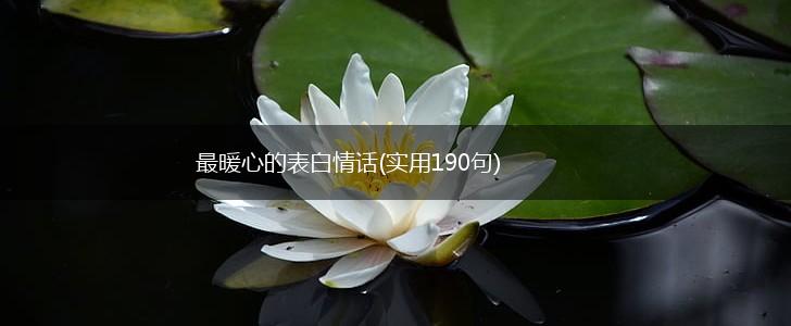 最暖心的表白情话(实用190句),第1张