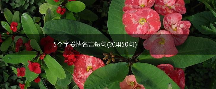 5个字爱情名言短句(实用50句),第1张