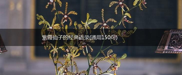 紫霞仙子的经典语录(通用150句),第1张