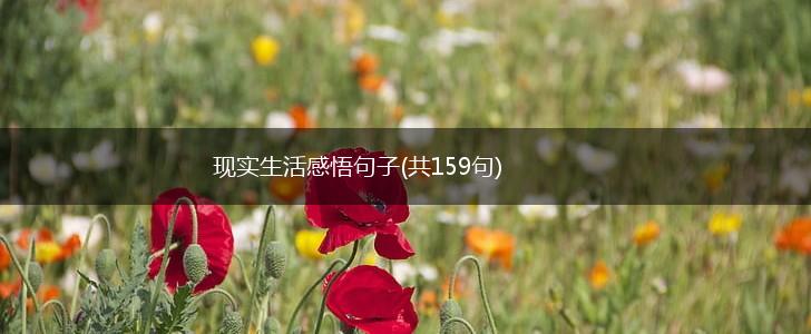 现实生活感悟句子(共159句),第1张