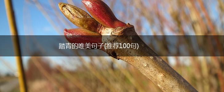 踏青的唯美句子(推荐100句),第1张
