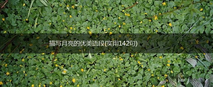 描写月亮的优美语段(实用142句),第1张