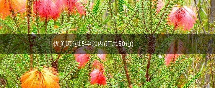 优美短句15字以内(汇总50句),第1张