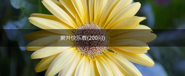 累并快乐着(200句),第1张
