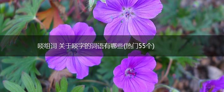 啖组词 关于啖字的词语有哪些(热门55个),第1张