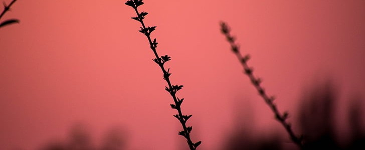 职场正能量(推荐150句),第2张