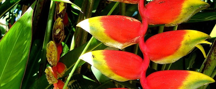 踏青的唯美句子(推荐100句),第2张