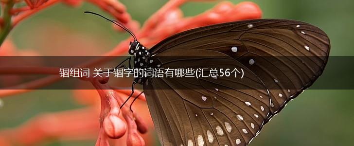 锢组词 关于锢字的词语有哪些(汇总56个),第1张
