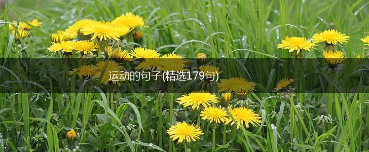 运动的句子(精选179句),第1张