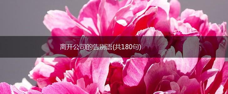 离开公司的告别语(共180句),第1张