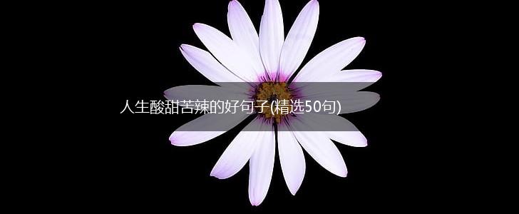 人生酸甜苦辣的好句子(精选50句),第1张