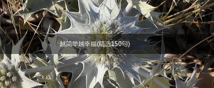 越简单越幸福(精选150句),第1张