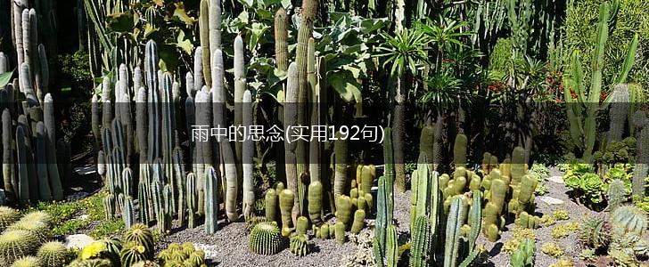雨中的思念(实用192句),第1张
