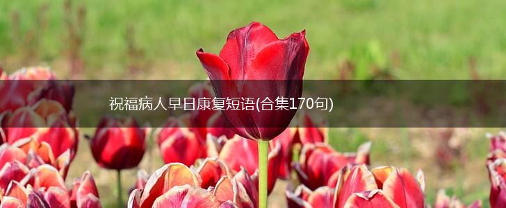 祝福病人早日康复短语(合集170句),第1张