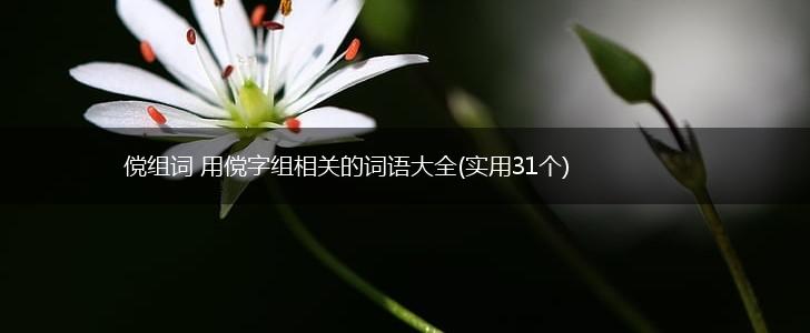 傥组词 用傥字组相关的词语大全(实用31个),第1张