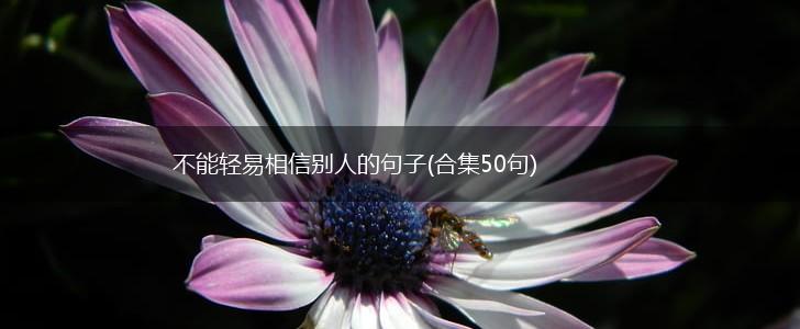 不能轻易相信别人的句子(合集50句),第1张