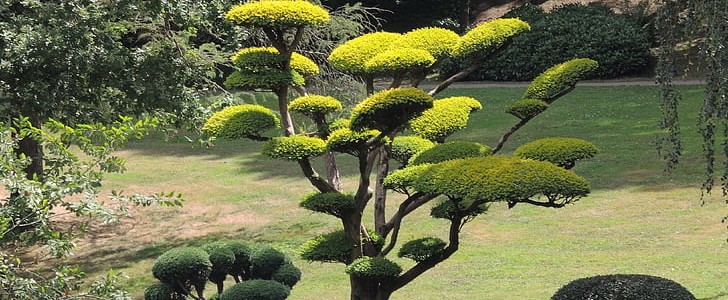 烟花一刹那唯美句子(合集153句),第3张