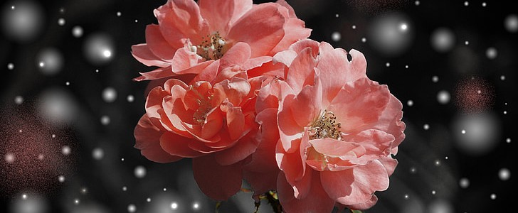 新婚祝词古风(共115句),第3张