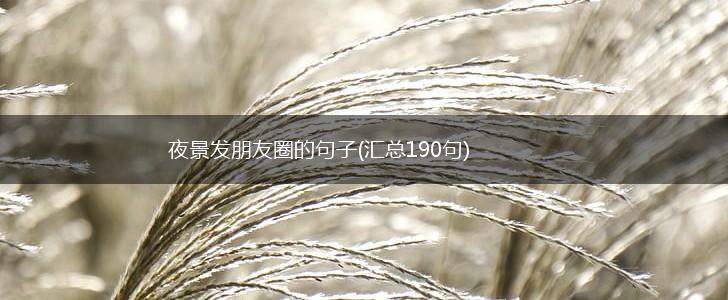 夜景发朋友圈的句子(汇总190句),第1张