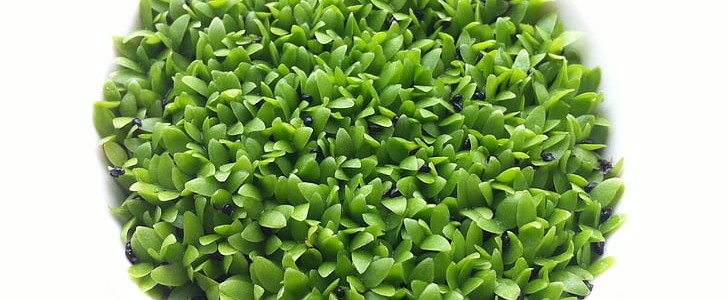 暗恋的句子(热门160句),第3张