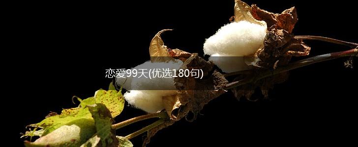 恋爱99天(优选180句),第1张
