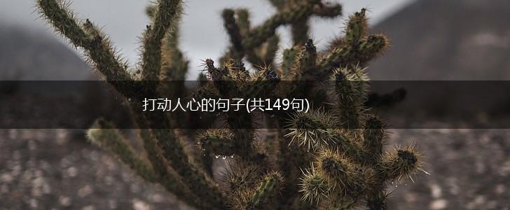 打动人心的句子(共149句),第1张