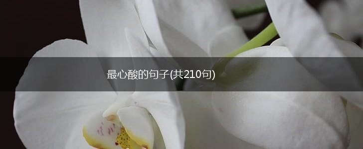 最心酸的句子(共210句),第1张