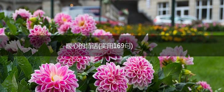 暖心的情话(实用169句),第1张