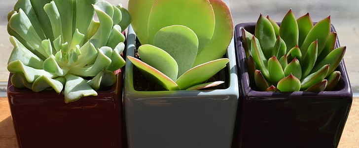 自我激励的话简短(精选179句),第2张