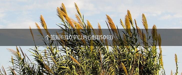 个签短句10字以内(通用50句),第1张