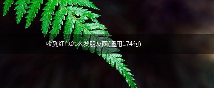 收到红包怎么发朋友圈(通用174句),第1张