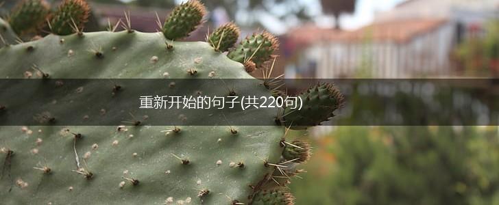 重新开始的句子(共220句),第1张