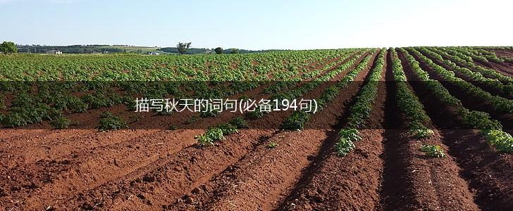 描写秋天的词句(必备194句),第1张