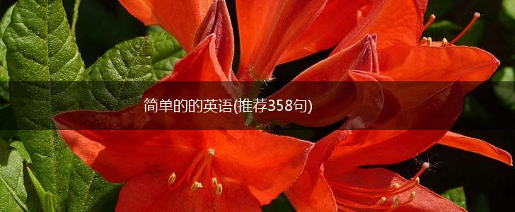 简单的的英语(推荐358句),第1张