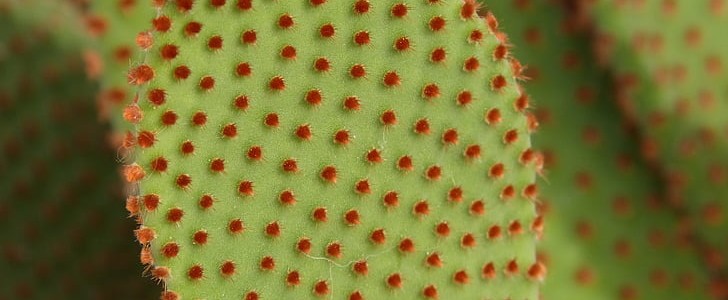 烟花的唯美句子(汇总161句),第2张