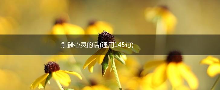 触碰心灵的话(通用145句),第1张