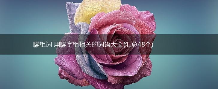 驩组词 用驩字组相关的词语大全(汇总48个),第1张