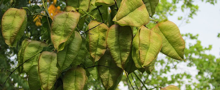 激励上进正能量句子(实用200句),第3张