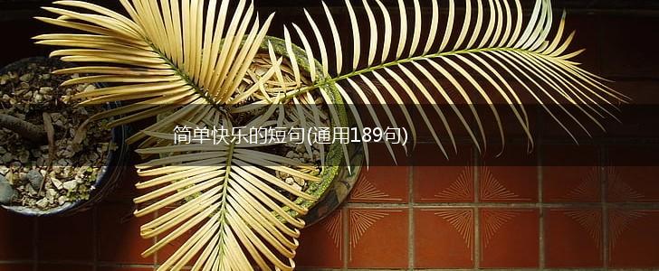 简单快乐的短句(通用189句),第1张